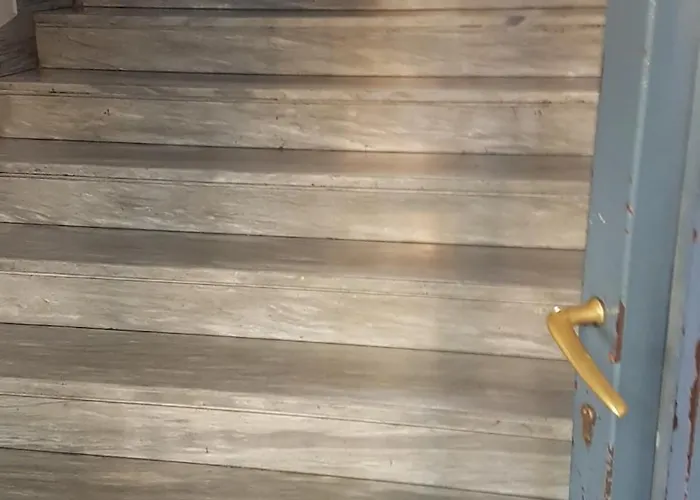 Haven, Cosy A Few Steps From Lake, Newly-renovated! Appartement *